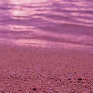 Meet your Posher, Tasha